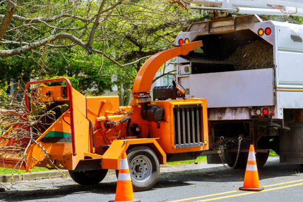 East Greenville, PA  Tree Services Company